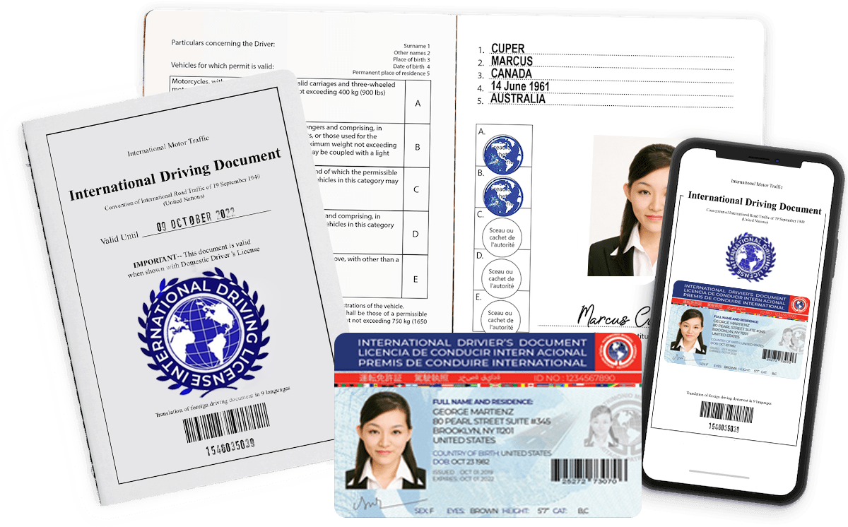 International Driving license, International Driver Permit License