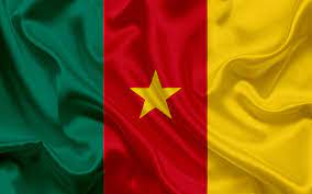 International Driving license in Cameroon