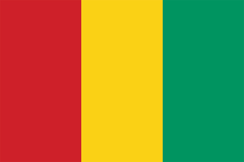 International Driving license in Guinea,Driving in Guinea