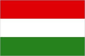 International Driving license in Hungary