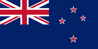 International Driving license in New Zealand,Driving in New Zealand