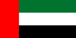 Flag of the United Arab Emirates.svg international driving permit