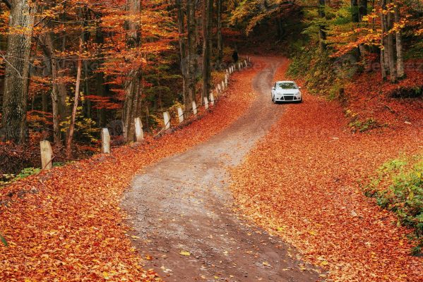 car on a forest path beautiful road in mountains ukraine photo international driving permit